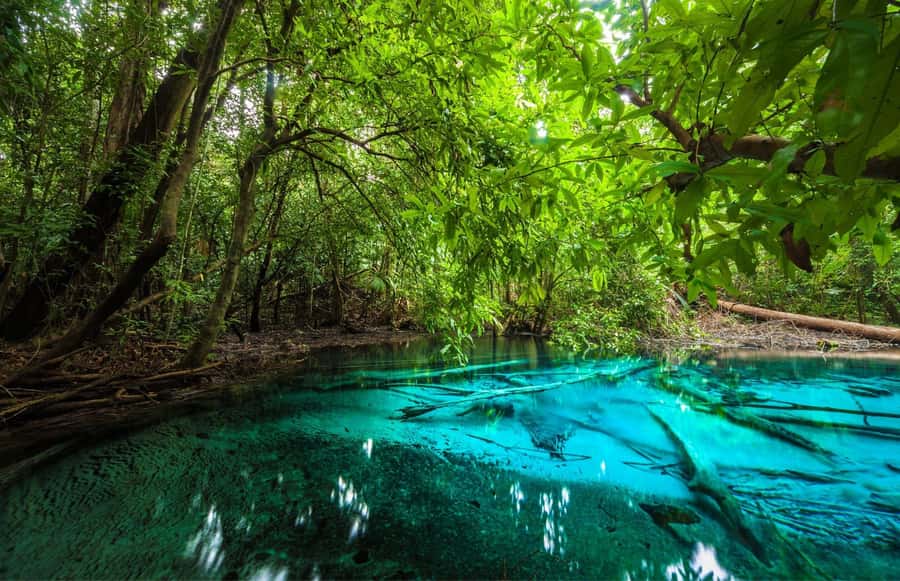 Krabi Tiger cave , emerald pool, hosspring waterfall jungle - Thung Theo rainforest walk: where the Emerald Pool comes from