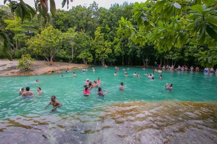 Krabi Tiger cave , emerald pool, hosspring waterfall jungle - Krabi Hot Springs: natural jacuzzi energy with a jungle waterfall