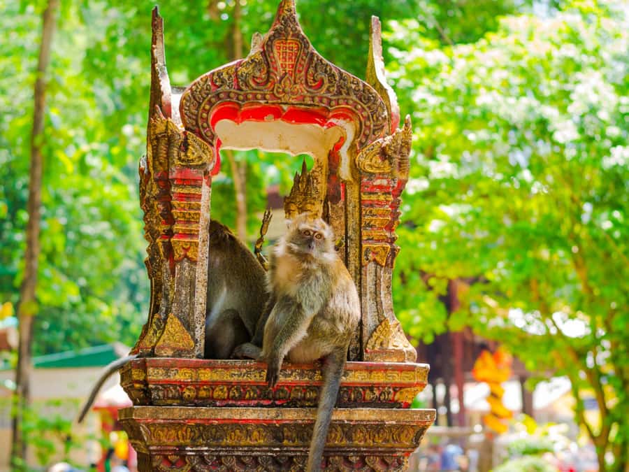 Krabi: Tiger Cave, Hot Springs & Emerald Pool Private Tour - Price and Value: Is $154 for Up to 10 Worth It?