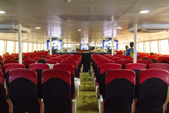 Krabi To Koh Tao(Tao Island) by Bus and Ferry - Arriving on Koh Tao: What “End Point” Means for Your Next Step