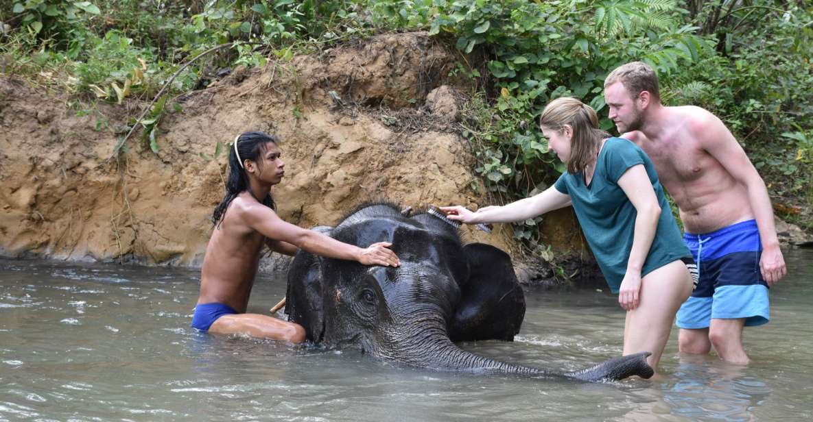 Krabi: Tour of Elephant Care House and Tiger Cave Temple - Krabi to Phanom Bencha: the quick ride to a mountain sanctuary