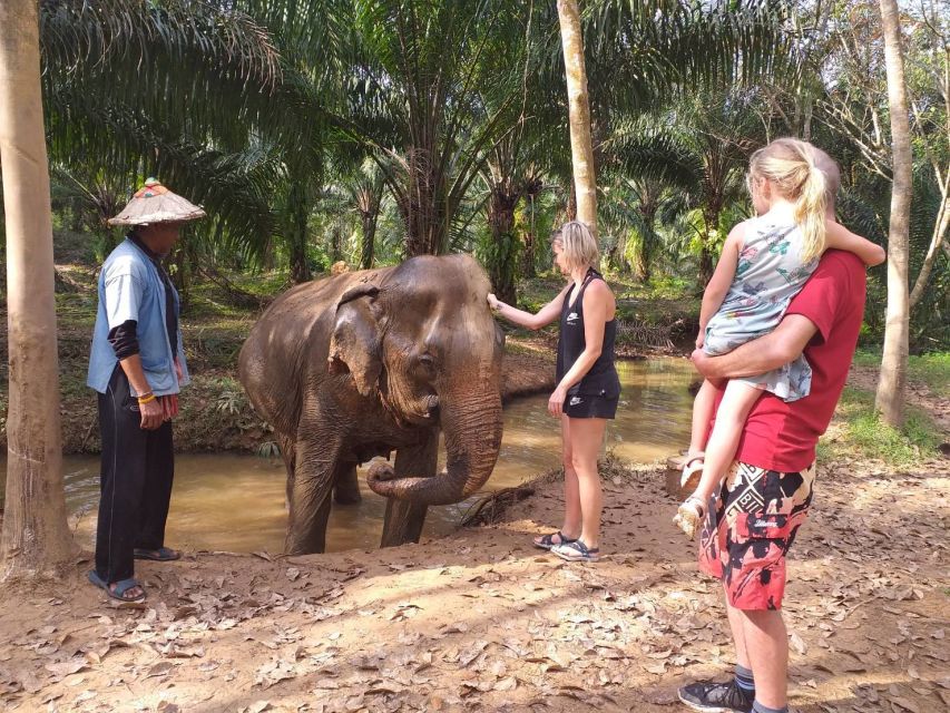Krabi: Tour of Elephant Care House and Tiger Cave Temple - The river-and-rainforest vibe: what the day feels like in motion