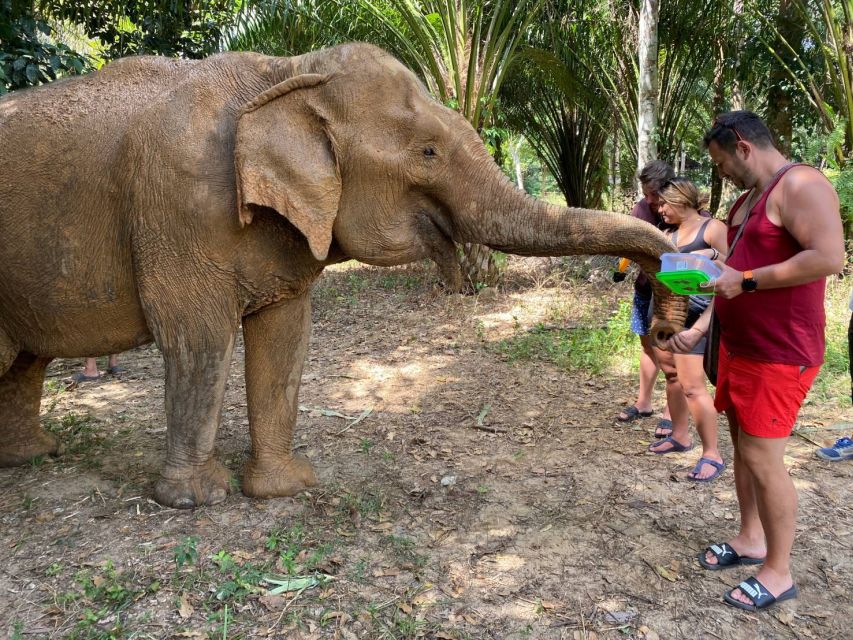 Krabi: Tour of Elephant Care House and Tiger Cave Temple - Thai-style lunch and the reset you actually need