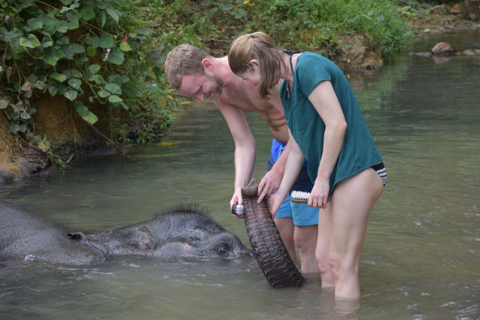 Krabi: Tour of Elephant Care House and Tiger Cave Temple - What to pack: river time + temple stairs = smart gear