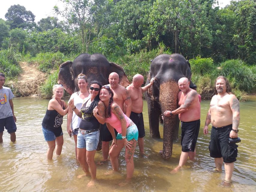 Krabi: Tour of Elephant Care House and Tiger Cave Temple - Price and value: what $77 includes and who it fits best