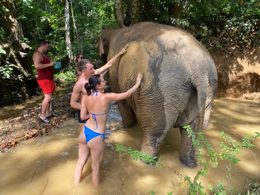 Krabi: Tour of Elephant Care House and Tiger Cave Temple - Should you book Krabi Elephant Care House and Tiger Cave Temple?