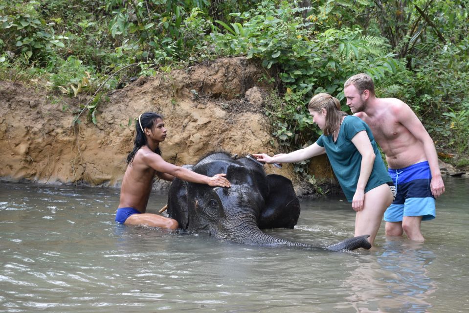 Krabi: Tour of Elephant Care House and Tiger Cave Temple - Elephant Care House: feeding, bathing, walking, and brushing up close