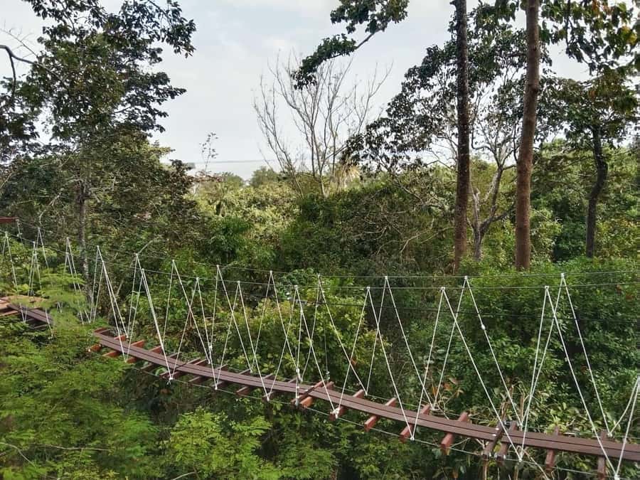Krabi Zipline adventure - Key highlights you’ll care about
