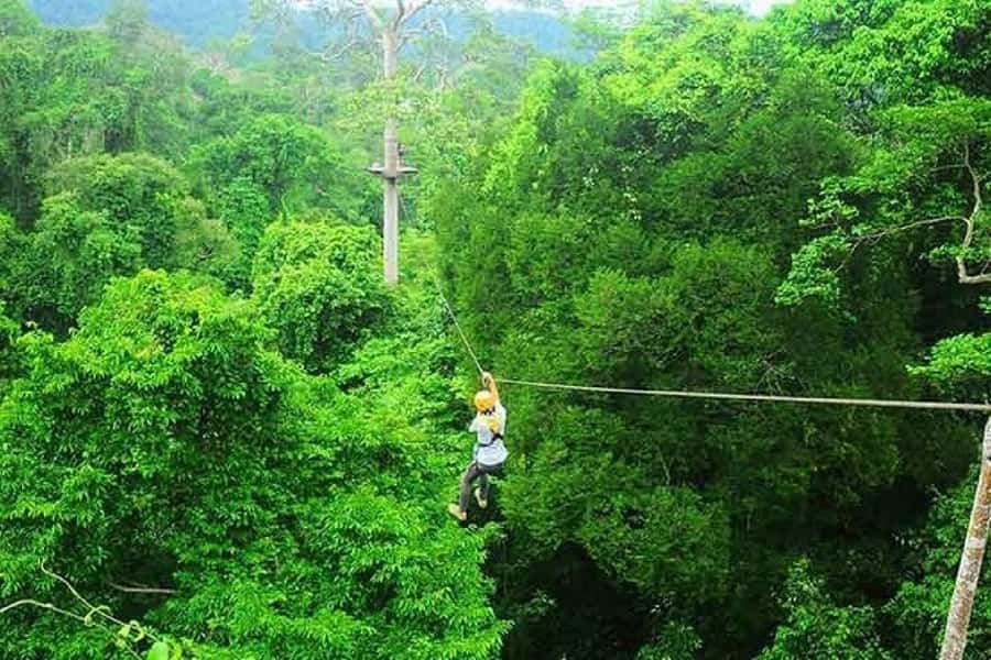 Krabi Zipline adventure - Biodiversity in the real world: birds, mangroves, and a protected reserve vibe