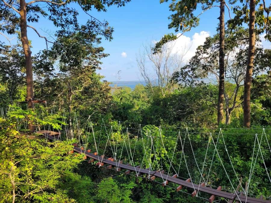 Krabi Zipline adventure - Price and value: why $72 can feel fair for a full-day package