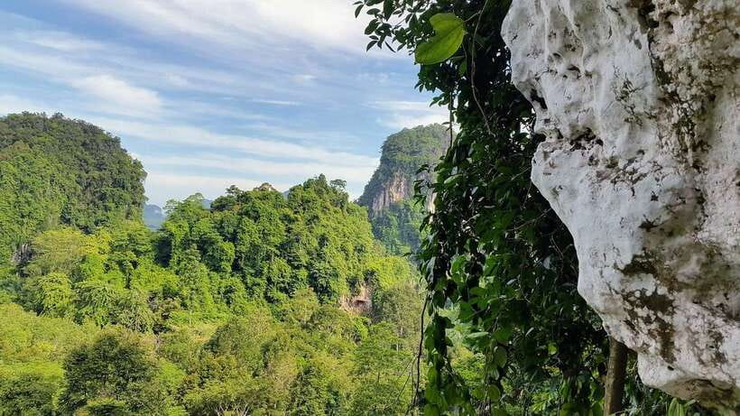 Krabi: Ziplining with Abseiling and Rock Climbing Options - Top rope rock climbing with two instructors: help that makes it feel doable
