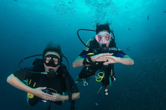 La Bombona Diving Koh Tao Open Water Course - Key points to know before you book