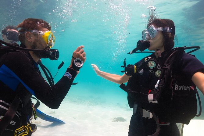 La Bombona Diving Koh Tao Open Water Course - Price and logistics: is $423.76 good value for Koh Tao?