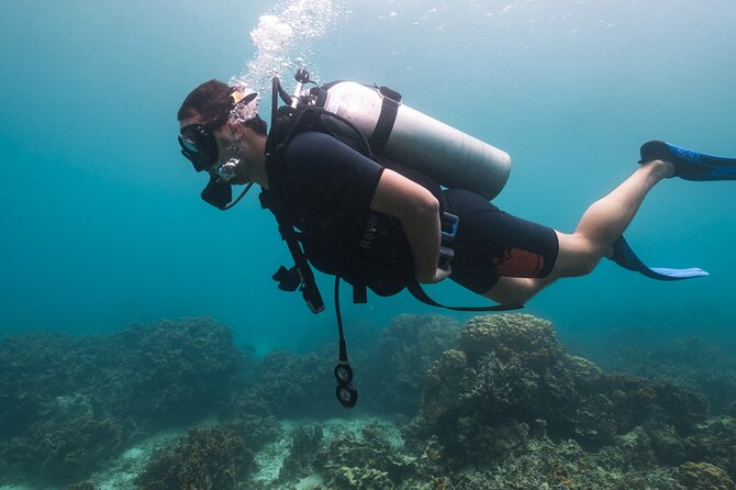 La Bombona Diving Koh Tao Try Dive - Underwater time: maximum 12m and the fish-and-coral payoff