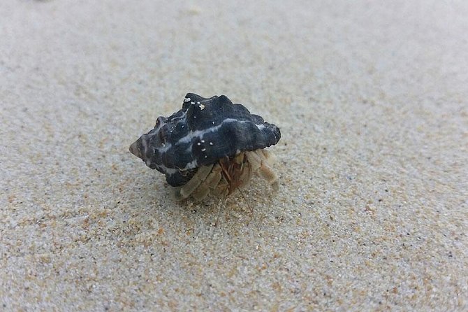 Lanta 4 Islands + Emerald Cave Snorkeling Tour - Boat ride reality: sea conditions and group management