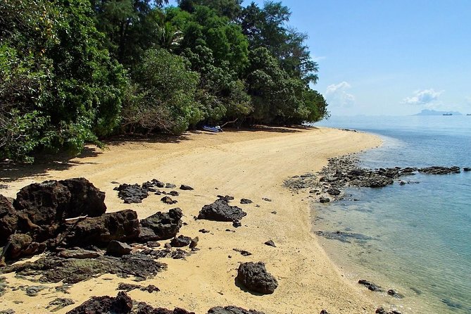 Lanta Mangrove Tour with Sea Cave Kayaking at Koh Talabeng - Stop 1 to Stop 2: Thung Yee Pheng Mangrove Forest and the first wildlife chances