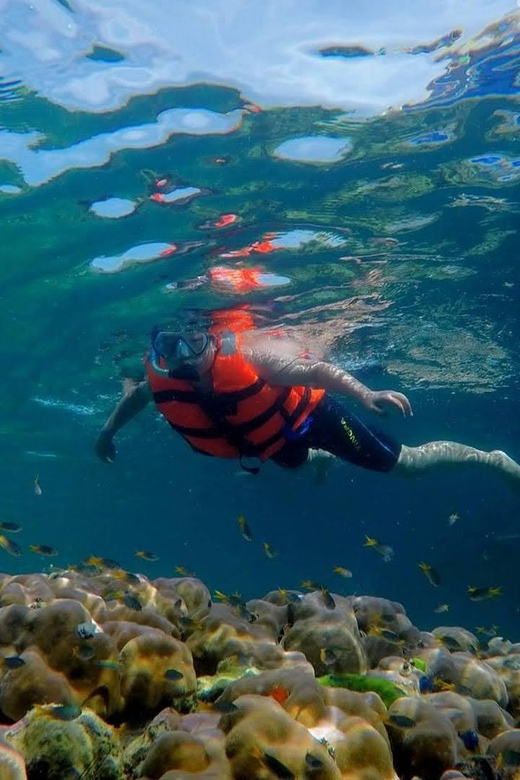 Lanta's Hidden Gems: 4 Islands by Traditional Longtail Boat - Tham Morakot Emerald Cave on Koh Mook: the cave swim rule
