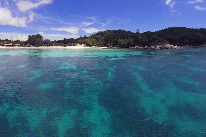 Learn to scuba dive with professional instructors - 3 days - Key highlights before you go