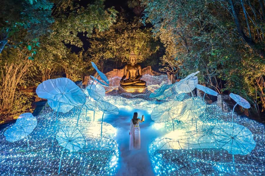 Light Festival at Na Satta Park: Magical Once-a-Year Moment - Key highlights worth planning around