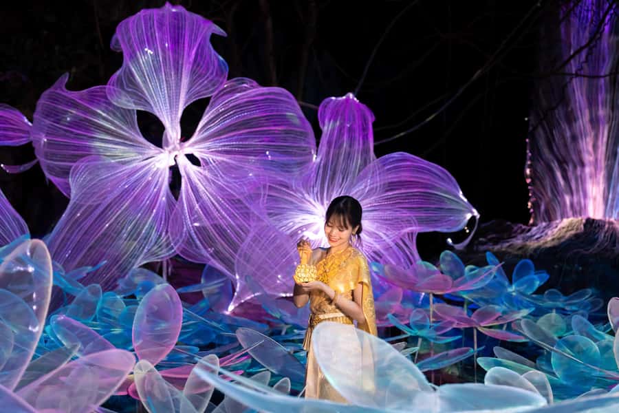 Light Festival at Na Satta Park: Magical Once-a-Year Moment - Price value: what $123 buys you in real terms