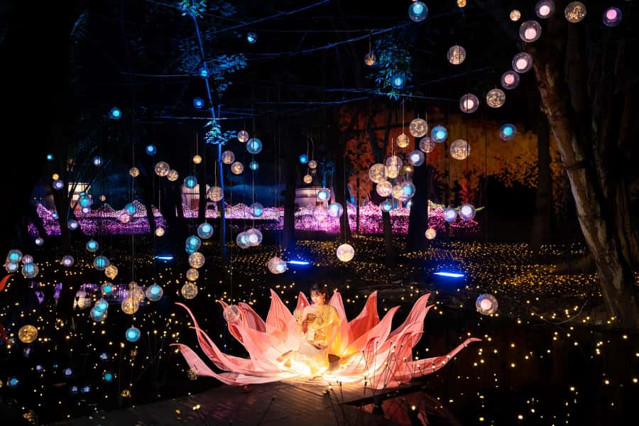 Light Festival at Na Satta Park: Magical Once-a-Year Moment - Getting the most out of the day: practical tips