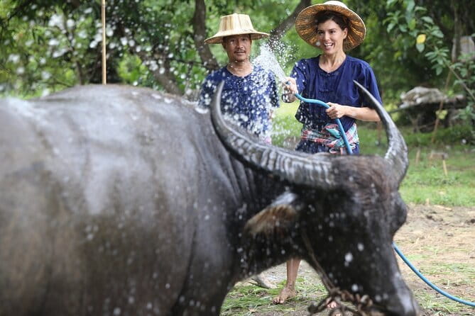 Local Farming Experience in Chiang Mai, Thailand - Meet Uncle Serd at Hang Tueng Farm (and Get Your Bearings)