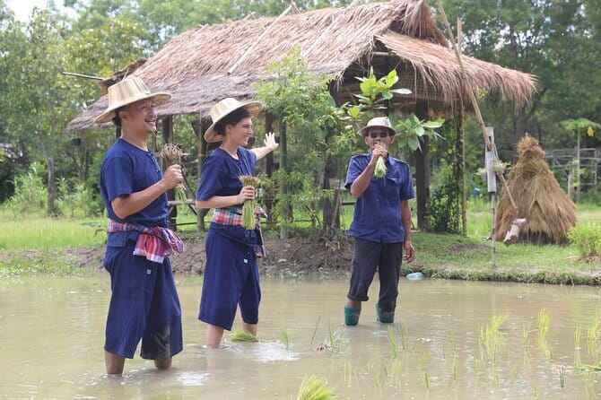 Local Farming Experience in Chiang Mai, Thailand - Lunch Set: Real Farm Food, Not Just a Sandwich