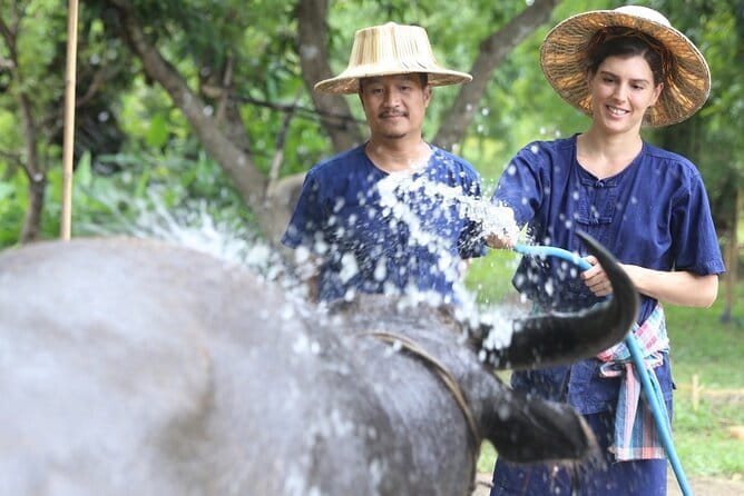 Local Farming Experience in Chiang Mai, Thailand - The Rice Nursery Lesson: Uprooting, Mud Kicking, and Bamboo Ties