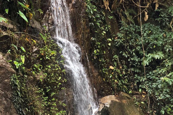 Lost in Chiang Mai - Secret Village, Hot Spring & Waterfall - A Cultural Therapy - Who this tour suits best (and who might want to skip)