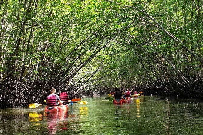 Mangrove Tour by Kayaking in Ko Lanta With Lunch - Key Highlights You’ll Feel on This Trip