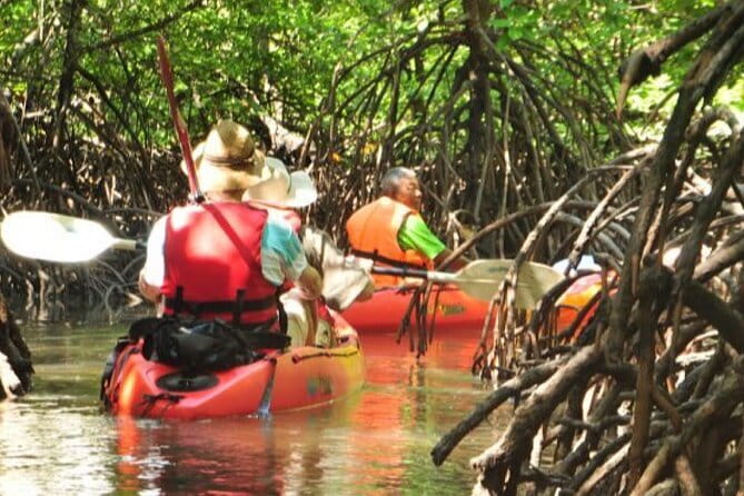 Mangrove Tour by Kayaking in Ko Lanta With Lunch - Price and Logistics: What You Actually Get for $25.96