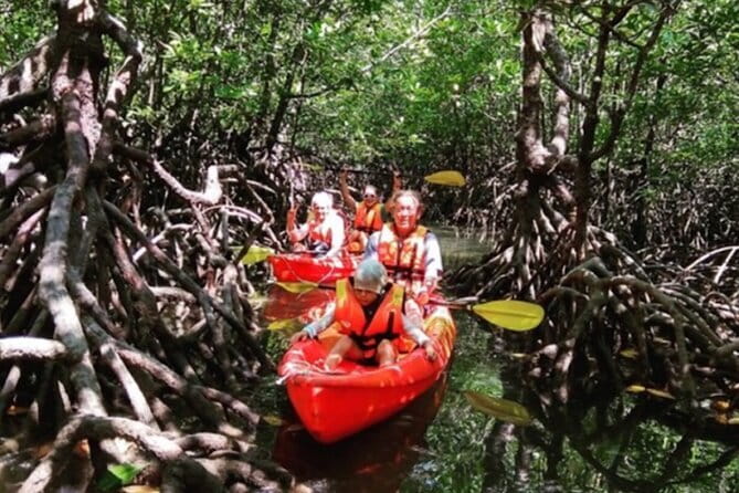 Mangrove Tour by Kayaking in Ko Lanta With Lunch - The 3-Hour Plan From Pier to Fish Farm to Lunch