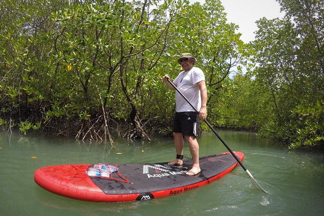 Mangroves SUP Tour Phuket - Gear, Snacks, and the Little Things That Keep It Easy