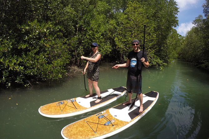Mangroves SUP Tour Phuket - Who Should Book This Mangroves SUP Tour