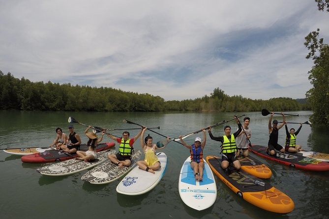 Mangroves SUP Tour Phuket - Weather, Swim Skills, and Booking Like a Pro
