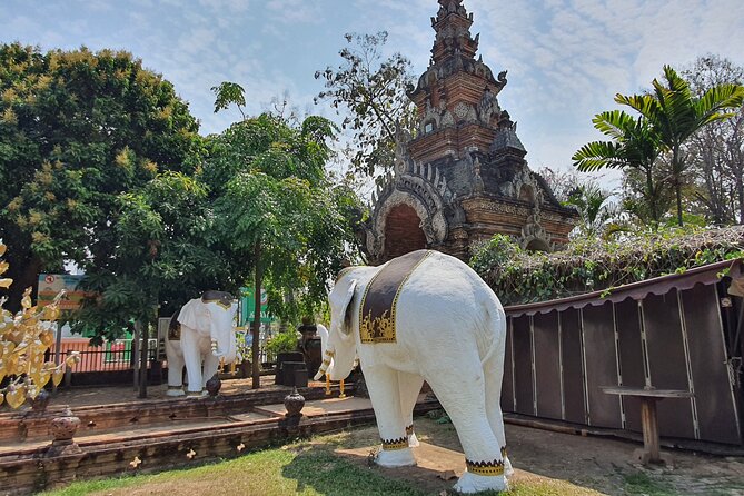 Mastering Chiang Mai Temples in Halfday - Visit 7 Temples - Should You Book This Half-Day Temple Tour?