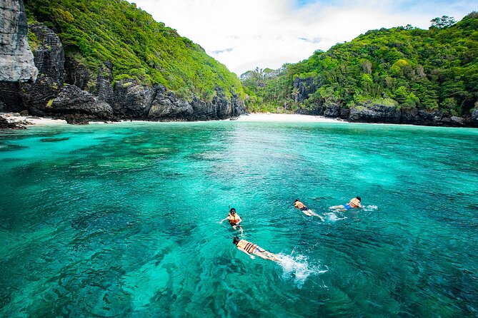 Maya Bay, Monkey Bay and Phi Phi Island Snorkeling Tour from Koh Lanta - Blacktip Reef Shark Point: the snorkeling finale factor