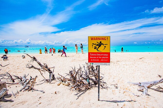 Maya Bay, Monkey Bay and Phi Phi Island Snorkeling Tour from Koh Lanta - The crowded-and-constant reality: what to expect on a high-demand route