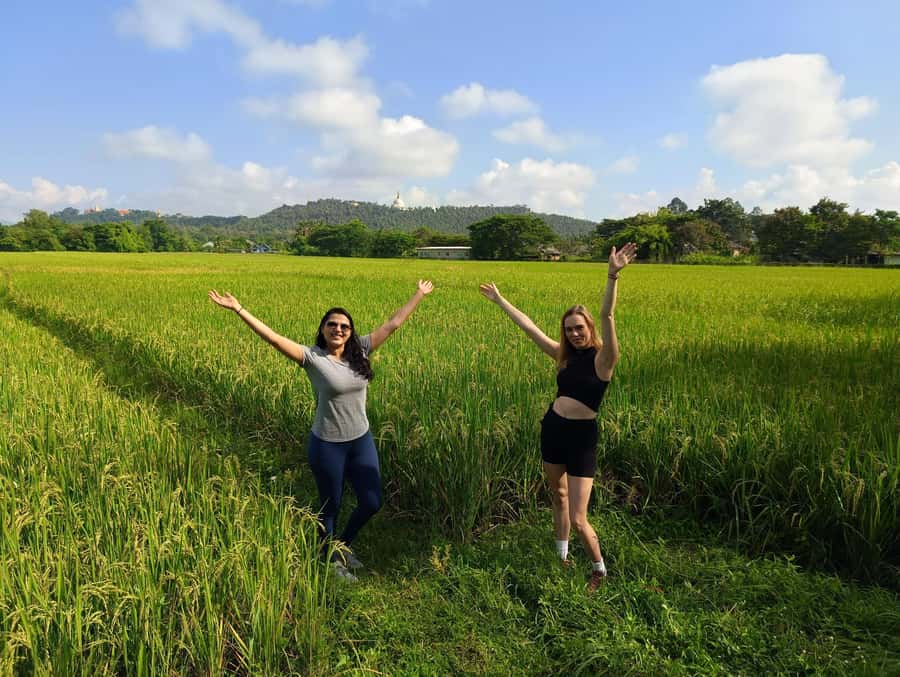 Meditation & Yoga Retreat in Nature - Rice fields and the rice cycle: Thailand you can see up close
