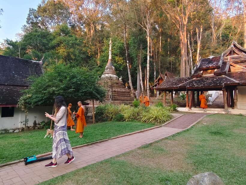 Monk trails hike, Wat Phalat, Monk chanting, Wat Doi Suthep. - Who this tour suits best (and who should skip it)