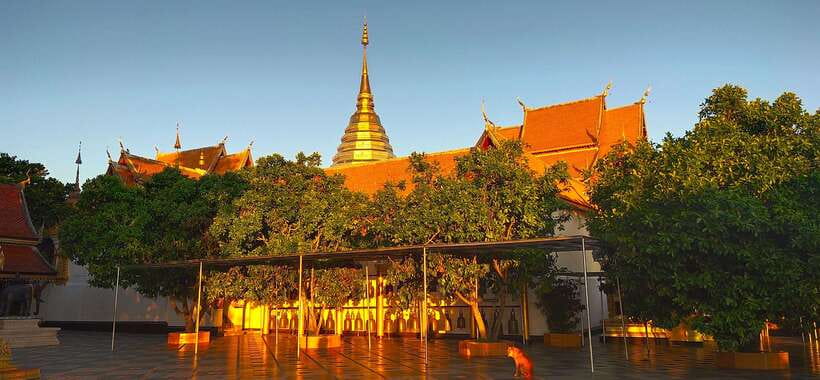 Monk trails hike, Wat Phalat, Monk chanting, Wat Doi Suthep. - What to bring for the monk trails and temple stops