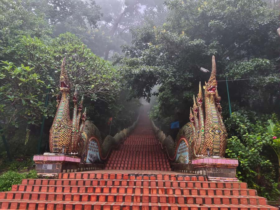 Monks chanting, Wat Doi Suthep and Wat Phalad+ Meditation - Key highlights you’ll care about
