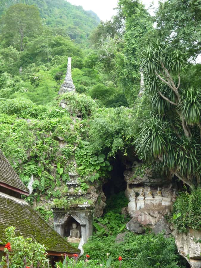 Monks chanting, Wat Doi Suthep and Wat Phalad+ Meditation - Wat Phalad in the jungle: where the pace slows down
