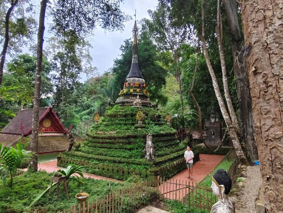 Monks chanting, Wat Doi Suthep and Wat Phalad+ Meditation - Who should book this tour (and who should skip it)