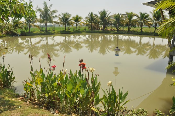 Morning Cooking Class in Organic Farm with Local Market Tour - The 13 km drive to an open-air organic farm kitchen