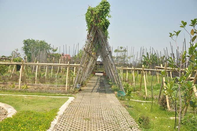 Morning Cooking Class in Organic Farm with Local Market Tour - What you’ll learn to make (and why your choices matter)