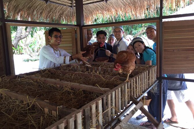 Morning Cooking Class in Traditional Pavilion with Beautiful Garden - Chiang Mai - What to Bring and How to Get the Most Out of the Morning