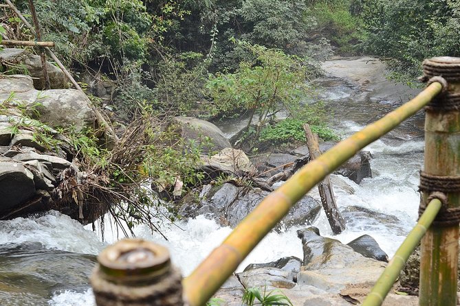 Mount Doi Inthanon Hiking & Bird Watching - Bird Watching Stops: More Species Than You’d Expect