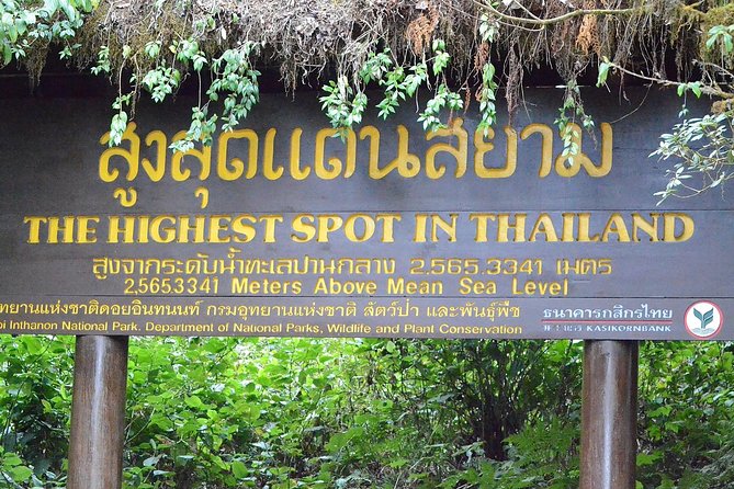 Mount Doi Inthanon Hiking & Bird Watching - The 1.5-Hour Nature Trail: Rice Fields, Flowers, Waterfall, and Jungle Talk