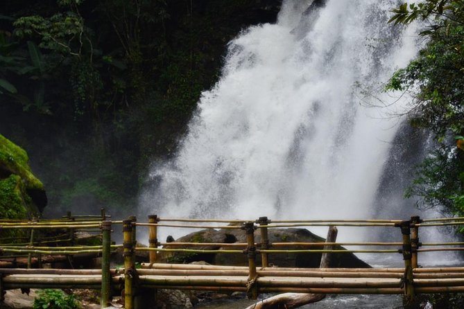 Mount Doi Inthanon Hiking & Bird Watching - Transportation and the Private Group Advantage